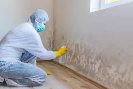 Best Forensic Mold Investigation  in Martins Ferry, OH