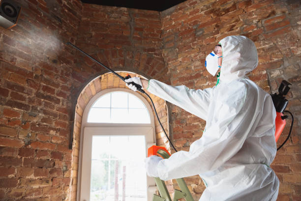 Best Mold Odor Removal Services  in Martins Ferry, OH